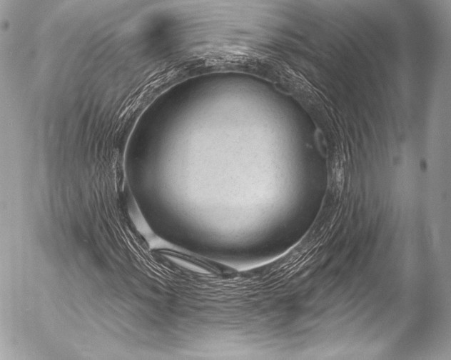 X0000053061012200507251443
