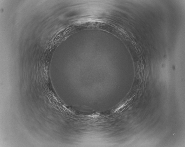 X0000053061013200507251443