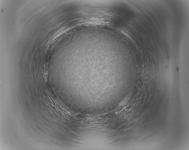 X0000053061015200507251443