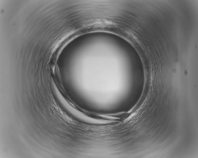X0000053061018200507251443