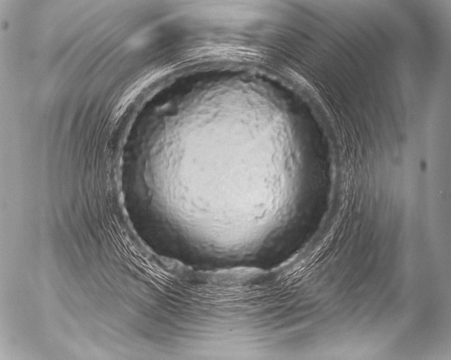 X0000053061019200507251443