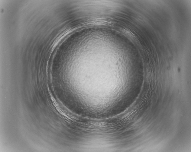 X0000053061039200507251443