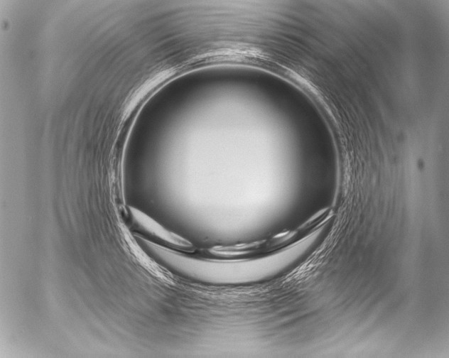 X0000053061042200507251443
