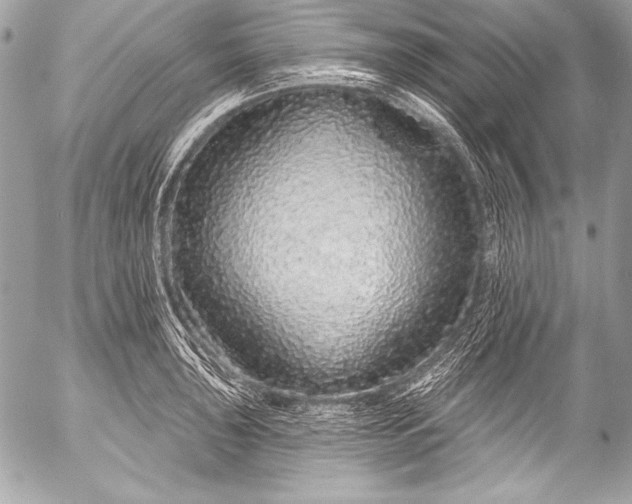 X0000053061043200507251443