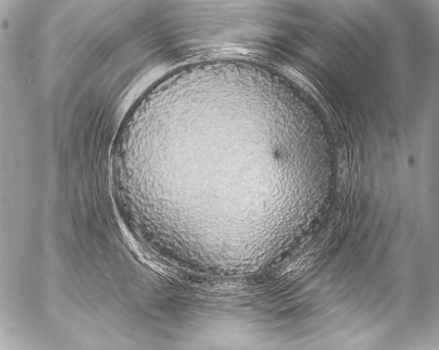 X0000053061047200507251444