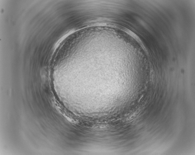 X0000053061051200507251444
