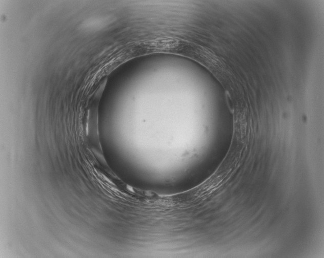 X0000053061058200507251443