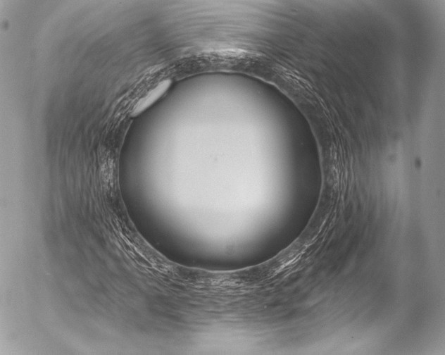 X0000053061061200507251443