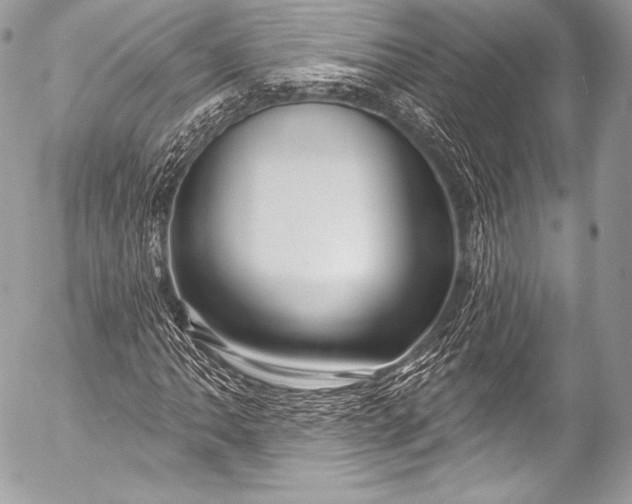 X0000053061062200507251443