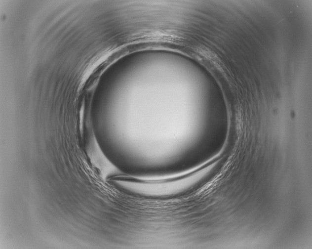 X0000053061069200507251443