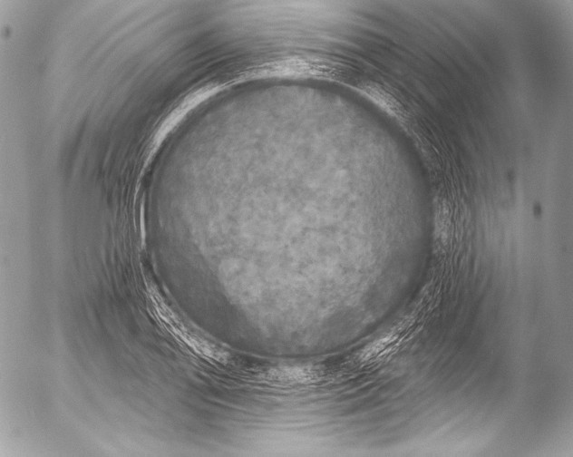 X0000053061078200507251443