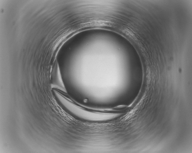 X0000053061081200507251442