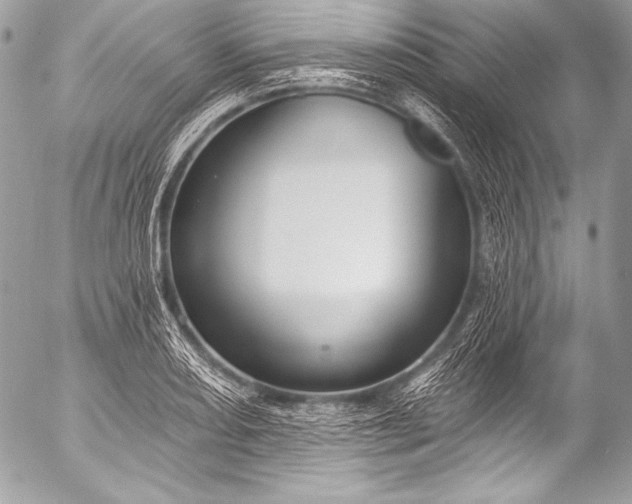 X0000053061082200507251442
