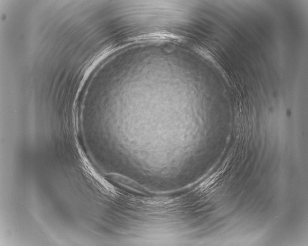 X0000053061083200507251442