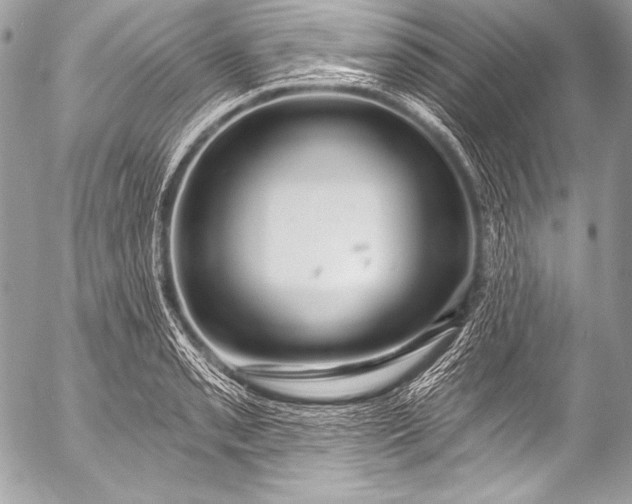 X0000053061085200507251442