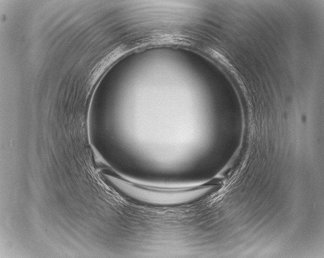X0000053061089200507251442