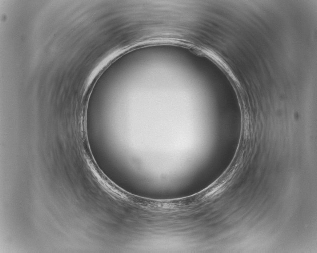 X0000053061101200507251442