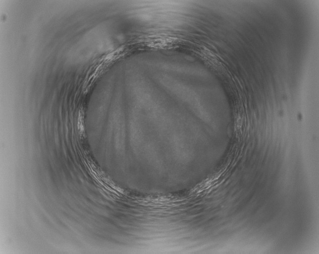 X0000053061106200507251441