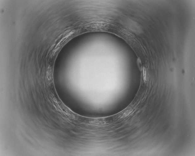 X0000053061107200507251441