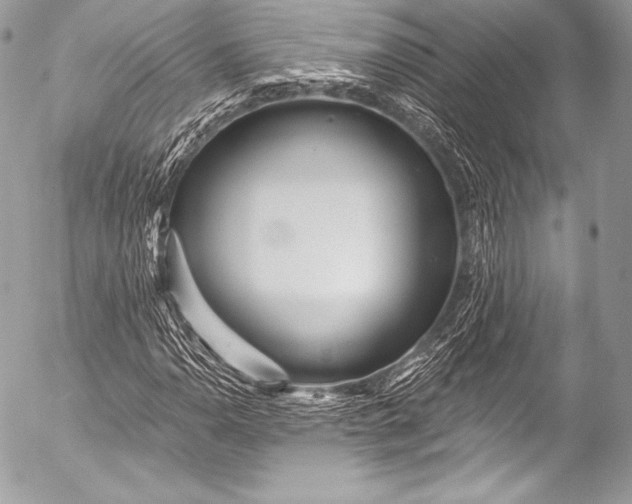 X0000053061110200507251441