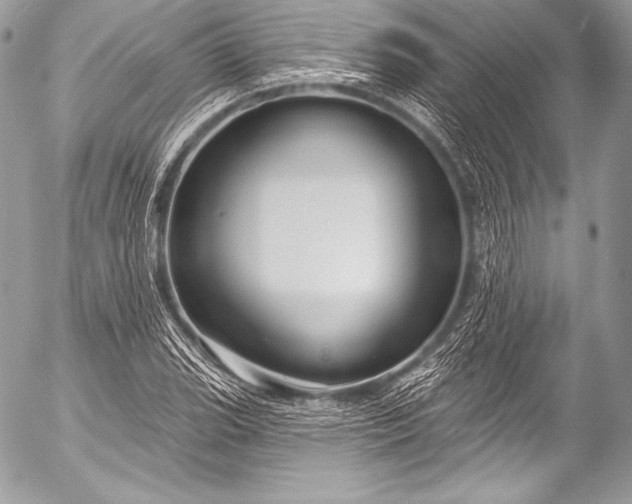 X0000053061119200507251442