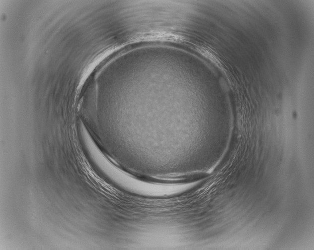 X0000053061120200507251442