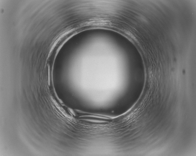 X0000053061123200507251442