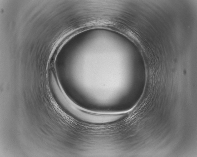 X0000053061124200507251442