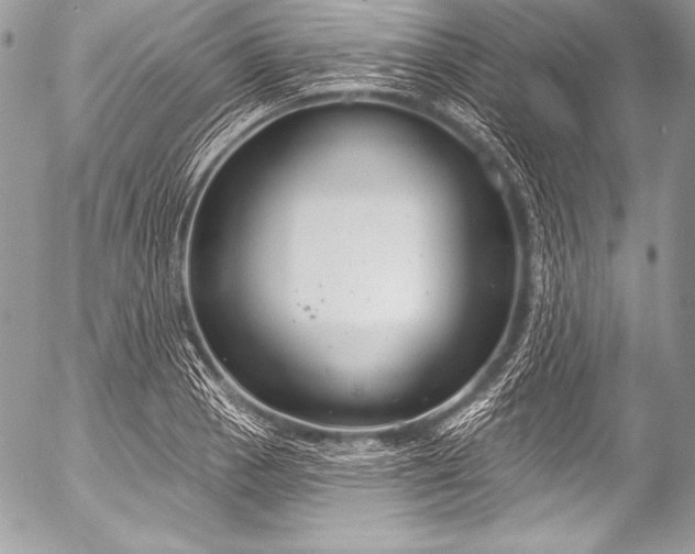 X0000053061129200507251442