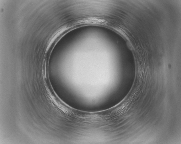 X0000053061131200507251442