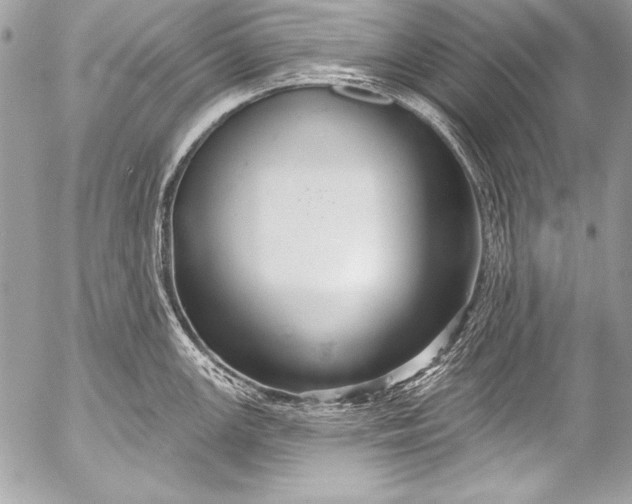 X0000053061147200507251442