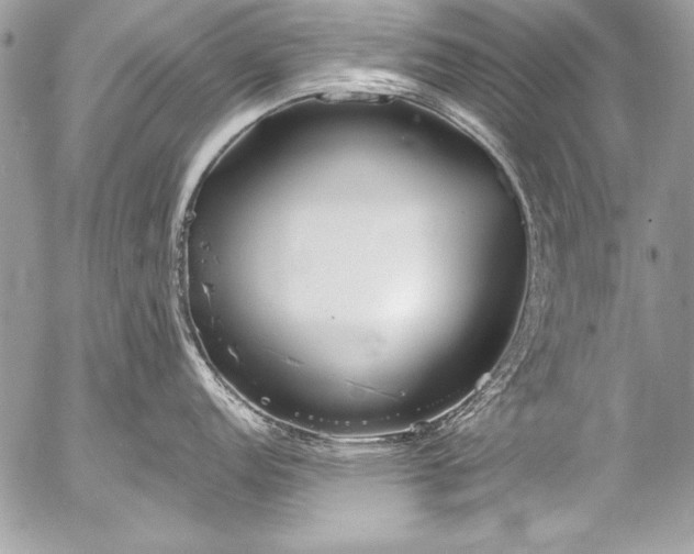 X0000053061152200507251442