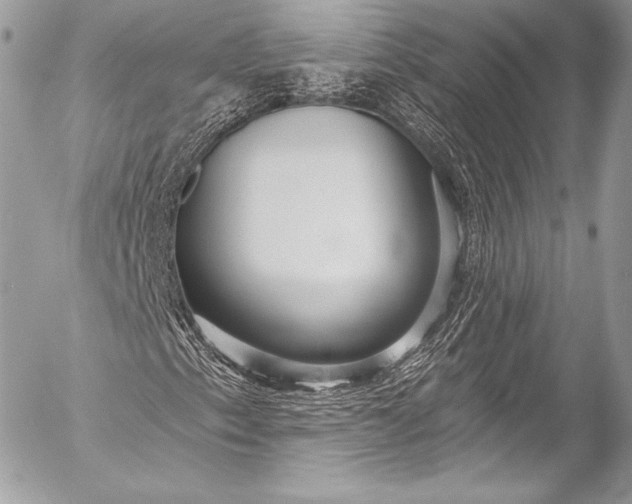 X0000053061153200507251441