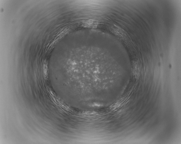 X0000053061154200507251441