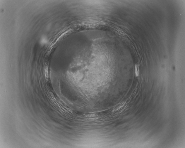 X0000053061155200507251441