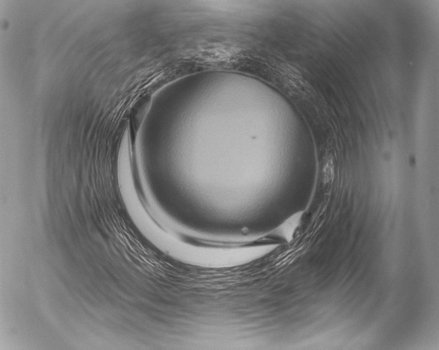X0000053061156200507251441