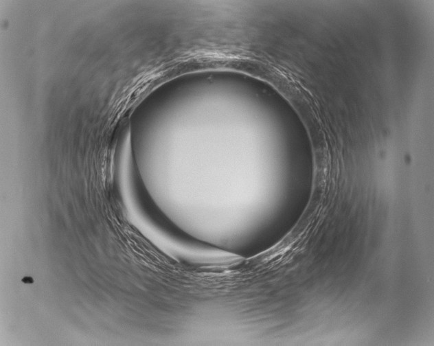 X0000053061157200507251441