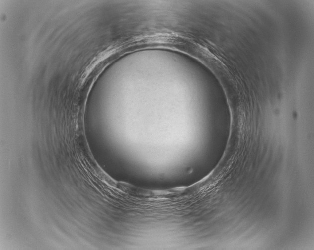 X0000053061166200507251441
