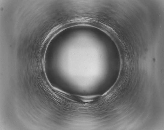 X0000053061168200507251441