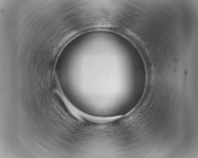 X0000053061169200507251441
