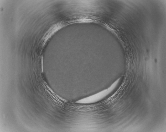 X0000053061171200507251441