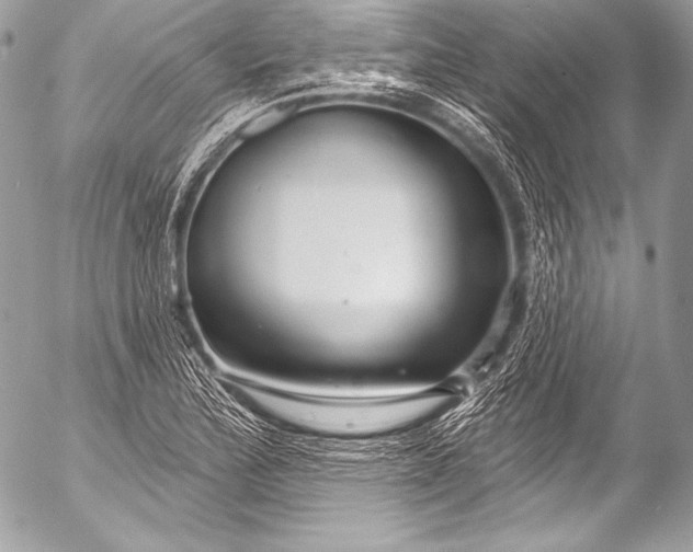 X0000053061172200507251441
