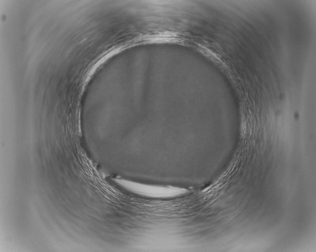 X0000053061174200507251441