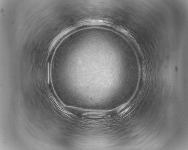 X0000053061175200507251441