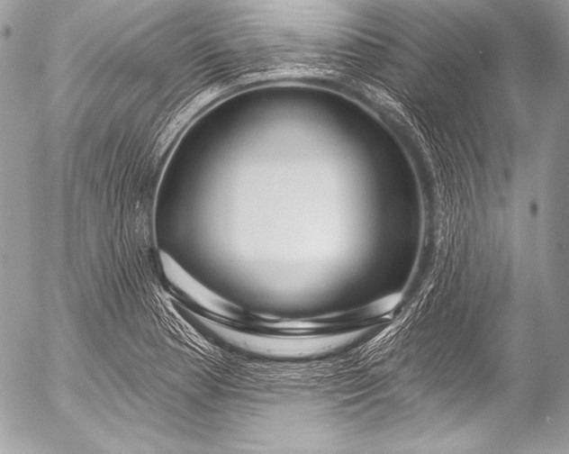 X0000053061177200507251441