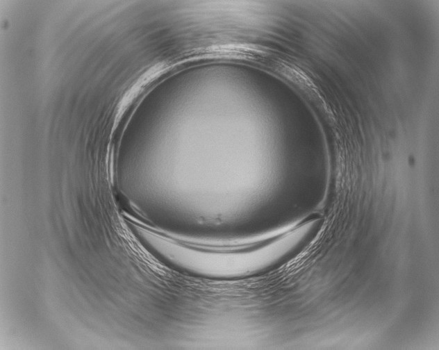 X0000053061180200507251441