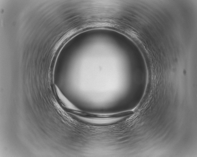 X0000053061181200507251441