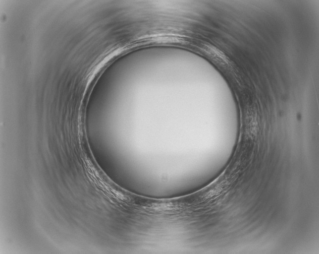 X0000053061182200507251441