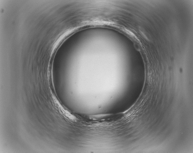 X0000053061183200507251441