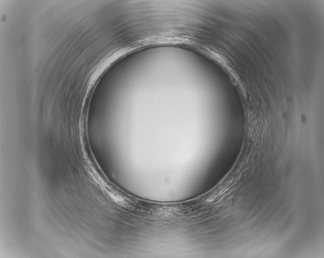 X0000053061187200507251441